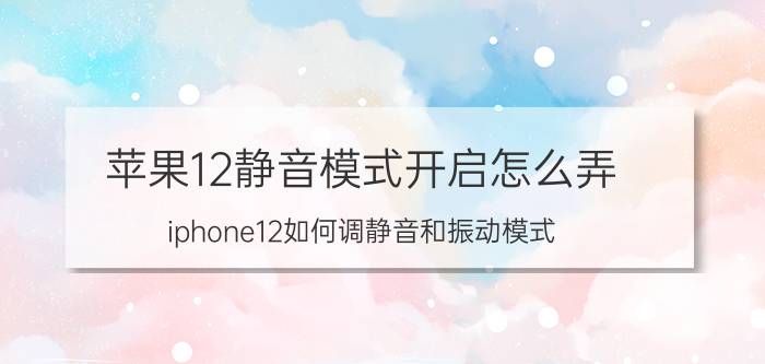 苹果12静音模式开启怎么弄 iphone12如何调静音和振动模式？